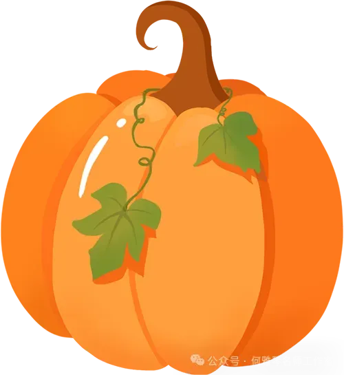 中考复习——第一章《机械运动》课件分享 第39张