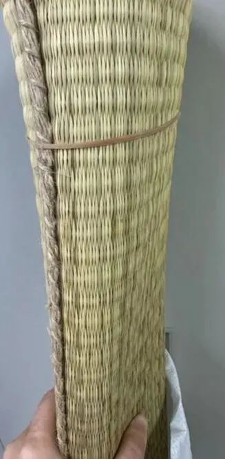 中考行舟 第1张