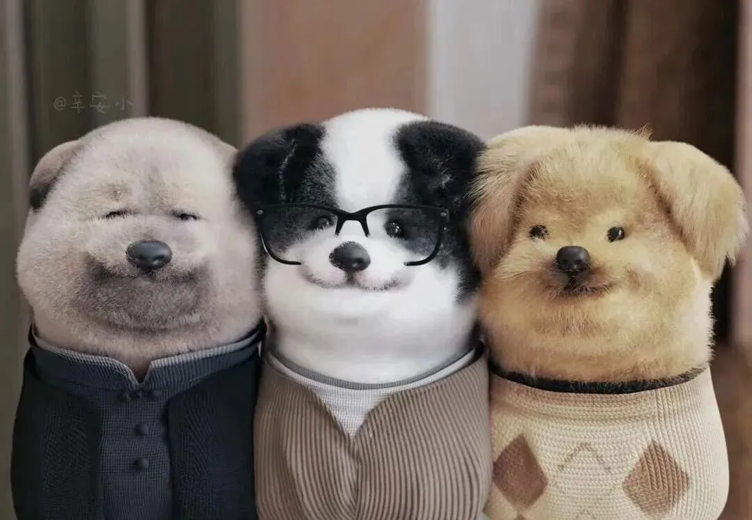 中考行舟 第4张