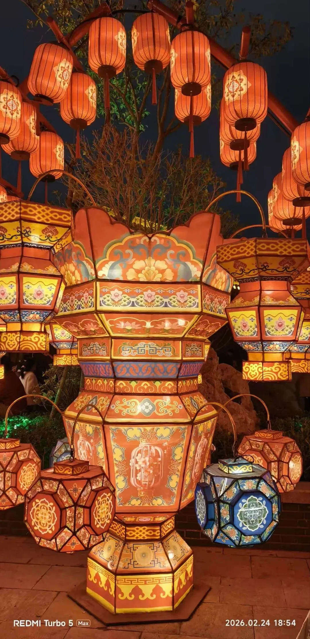 中考阅读/《又见槐花白》 第7张