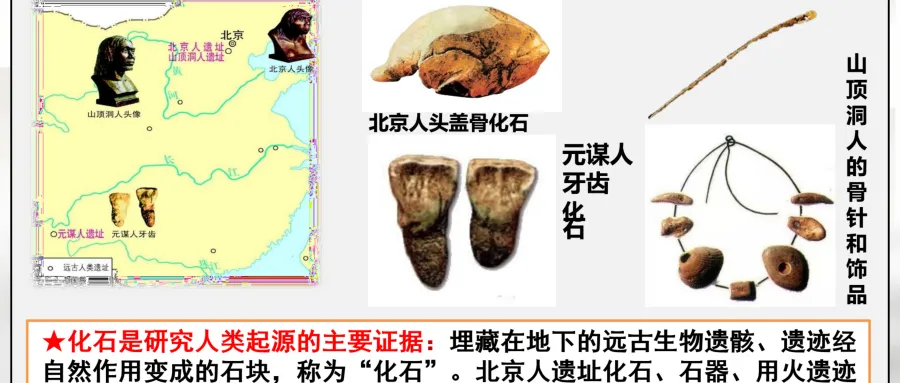 中考历史一轮复习课件 中古史 第一单元 史前时期 中国境内早期人类和文明的起源 第11张
