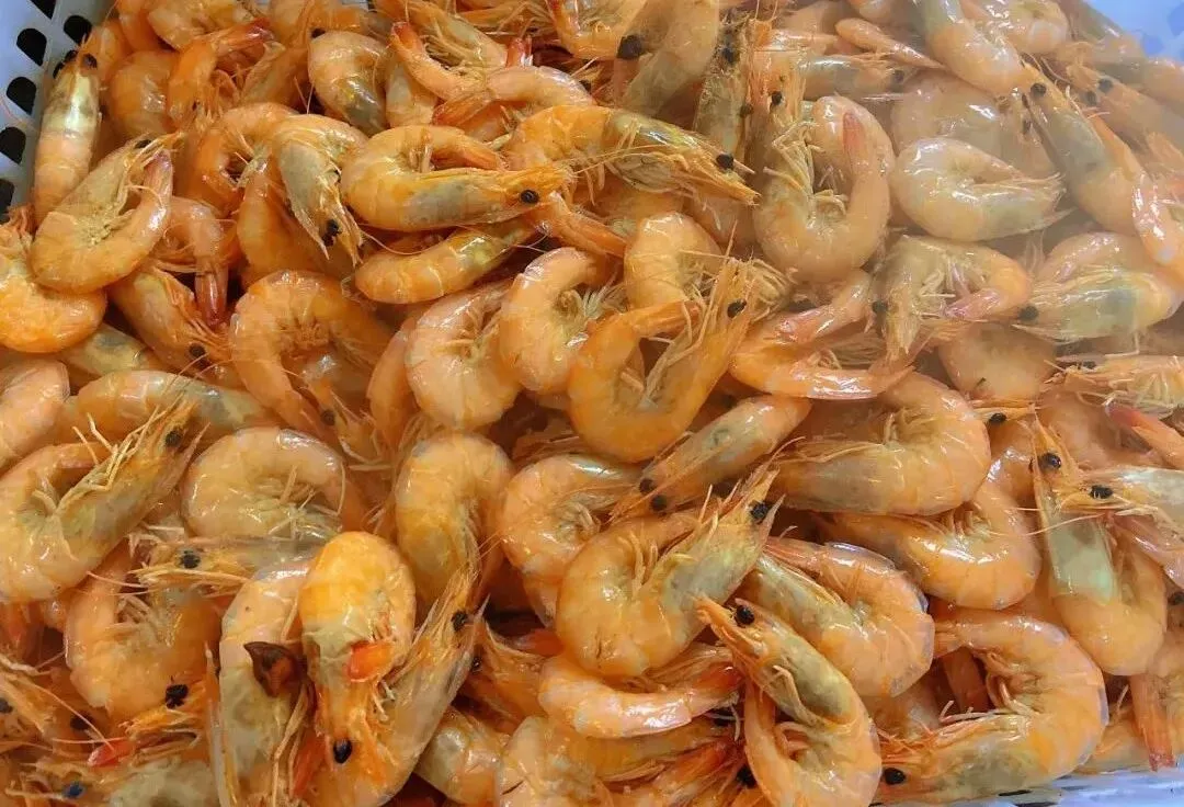 开始报名! | 第六届唐山市美术中考模拟考试 第47张