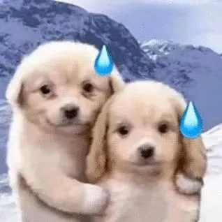 【史纲模考】请做好,上考场的准备️ 第4张