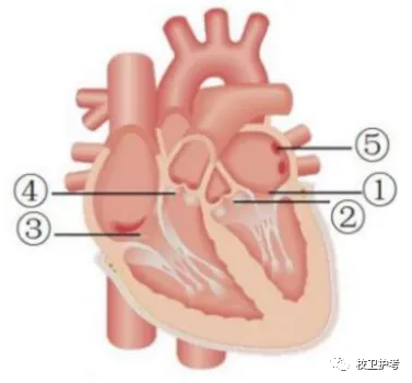 历年真题(一) 第2张