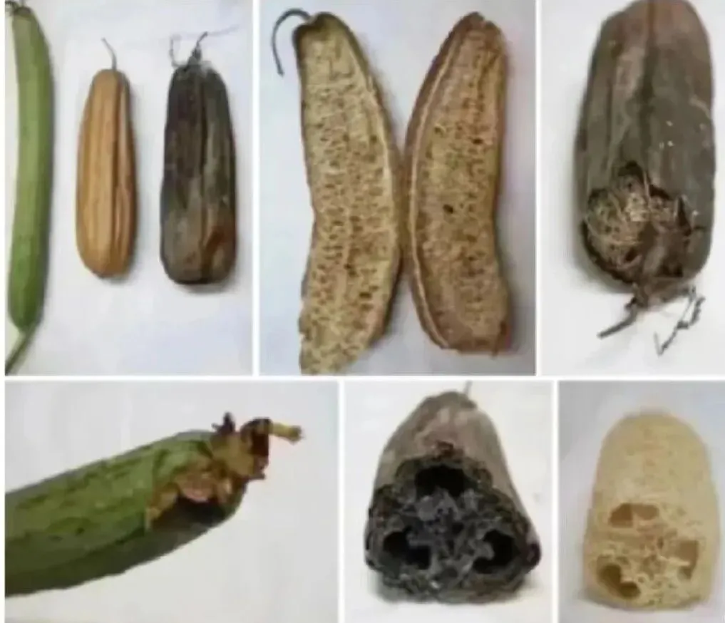 广美复试战报 | 2026届复试真题+近四年考题全收录,建议收藏!!! 第8张