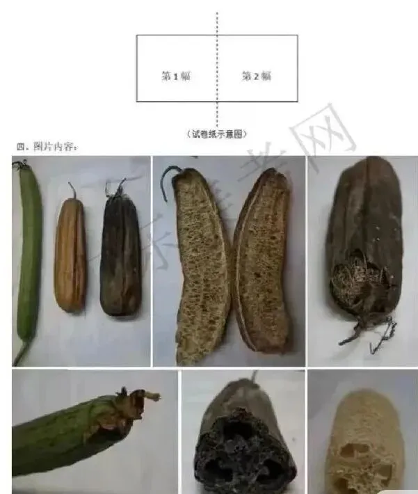 广美复试战报 | 2026届复试真题+近四年考题全收录,建议收藏!!! 第9张