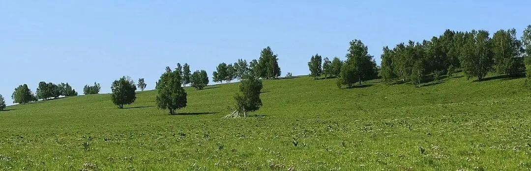 【模考作文审题立意及示例】(浙江温州高三上期末考)以己之色,装点天地(word版) 第4张