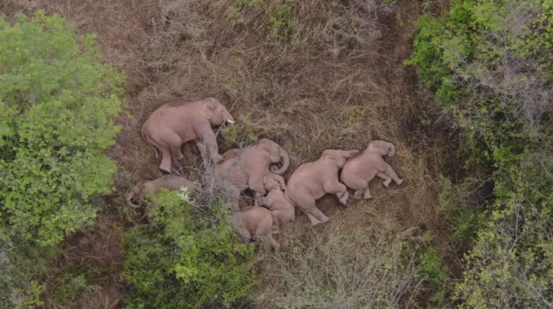 考生高考时用手机上传真题?招生办:或因5G信号屏蔽漏洞 第13张