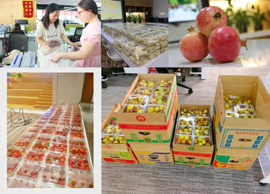 【新三板企业直招】王朝霞试卷2026年人才集结号!核心岗位虚位以待,入职即享“真香三件套”,教辅名企职等你来! 第19张