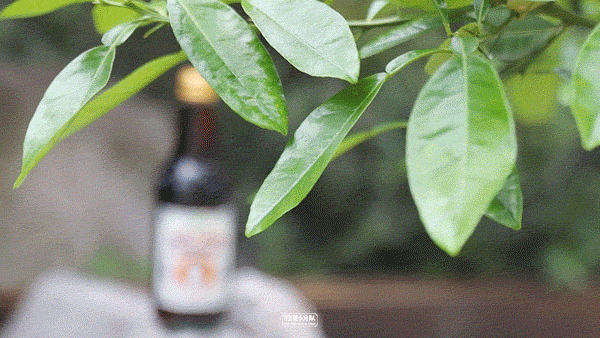 高考真题冰淇淋,吃完能加分吗? 第29张