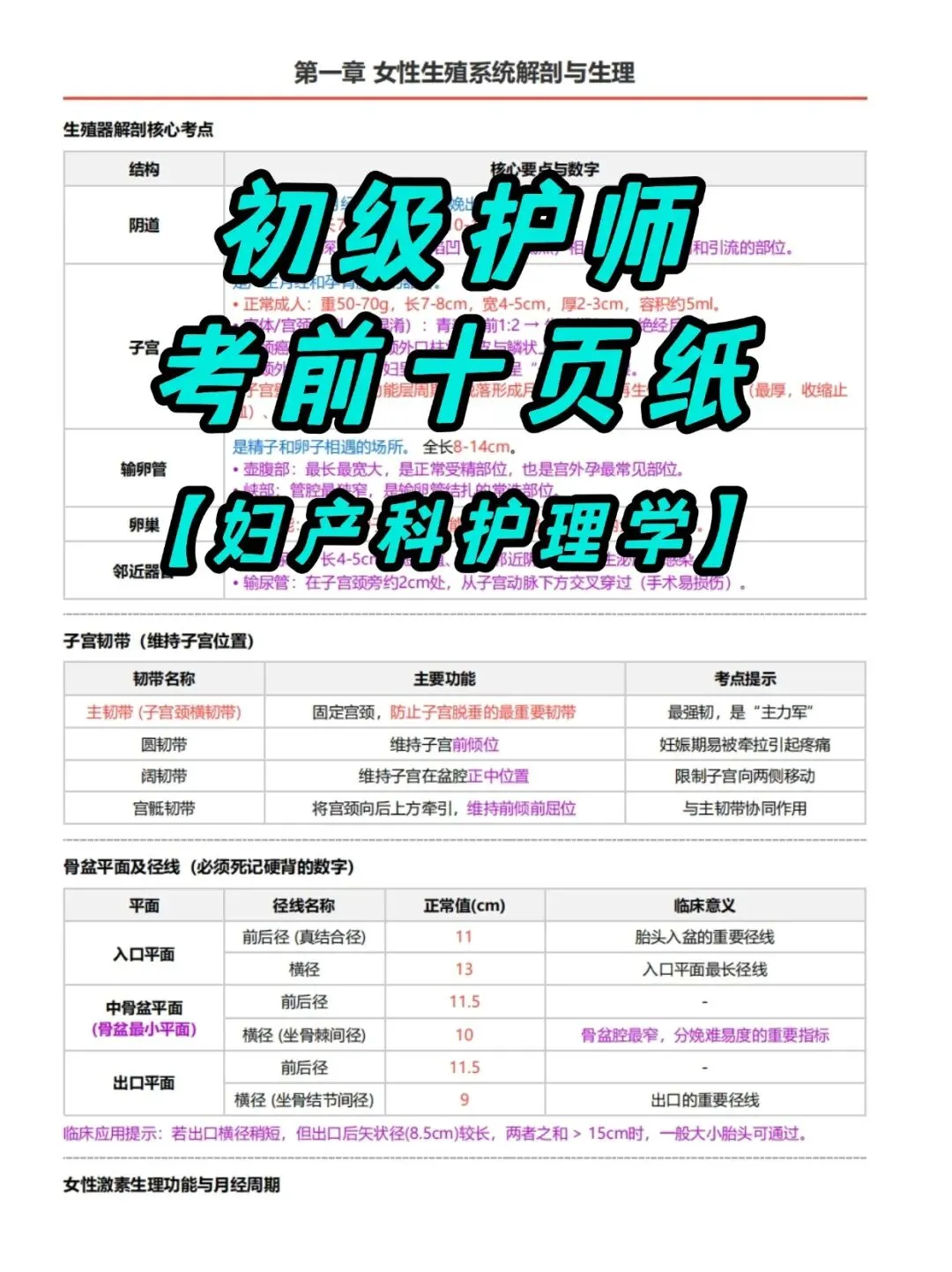 初级护师考试外科护理学考前十页纸,历年真题含答案解析【2010-2025】,五色笔记,考点知识点思维导图备考资料包,新大纲刷题软件题库 第13张