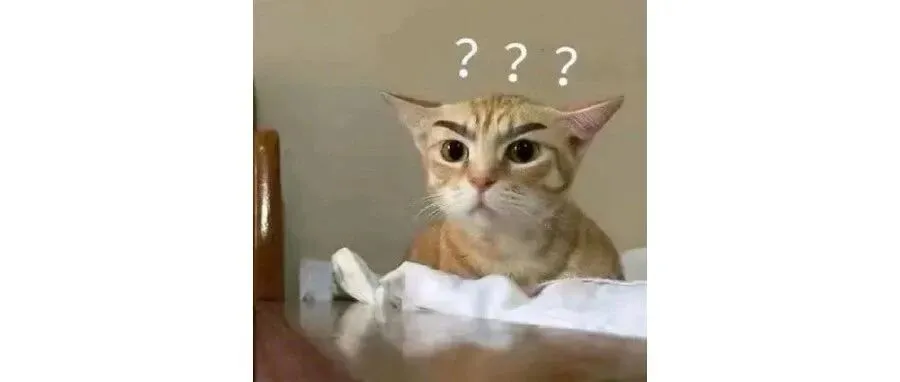 把高考试卷当证据交给法院?是真的!法院采信 第14张