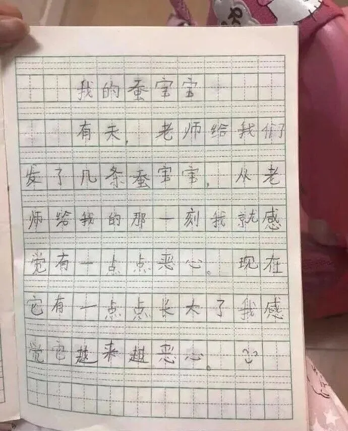 小学生0分试卷遭曝光,给我头笑掉了哈哈哈哈哈哈哈哈 第19张