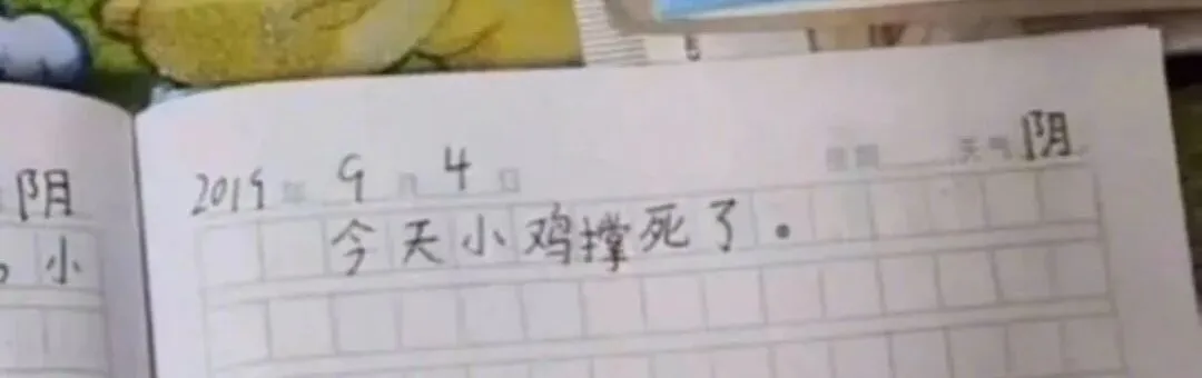 小学生0分试卷遭曝光,给我头笑掉了哈哈哈哈哈哈哈哈 第35张