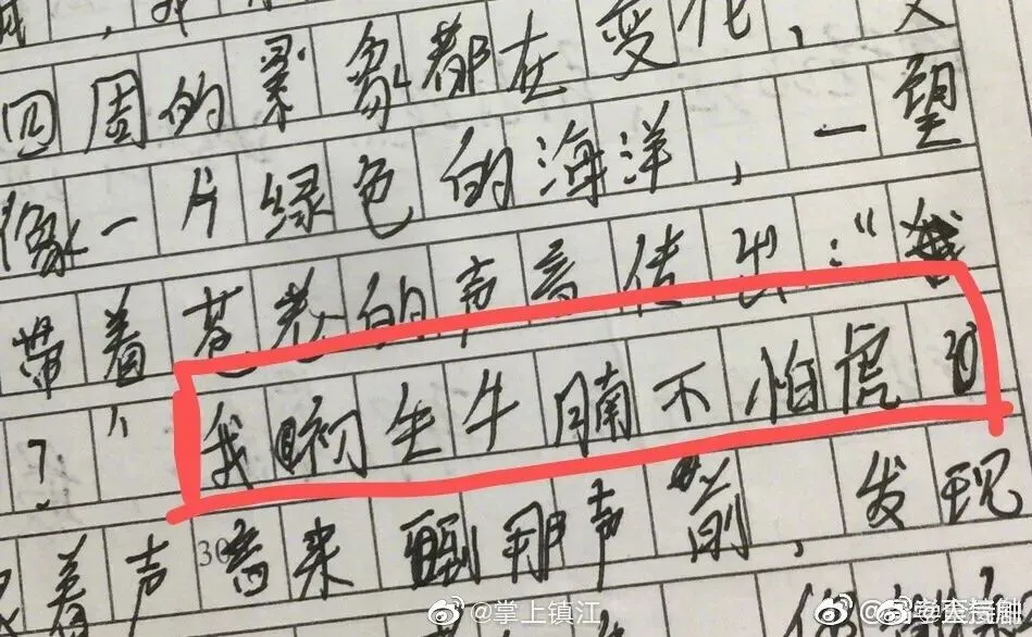 小学生0分试卷遭曝光,给我头笑掉了哈哈哈哈哈哈哈哈 第44张