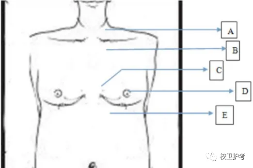 护考历年真题(二) 第2张