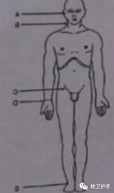 护考历年真题(三) 第2张