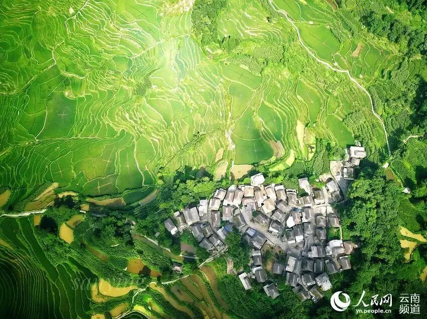 这个上高考试卷的村子,也太仙了吧 第1张