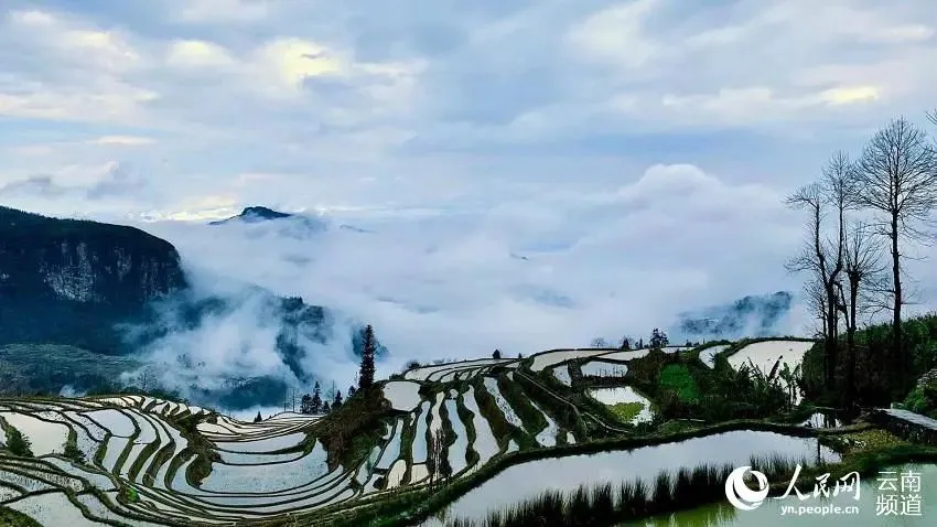 这个上高考试卷的村子,也太仙了吧 第3张