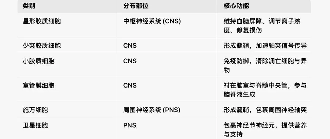 2026医疗事业编|医学基础知识真题(3月10号) 第1张