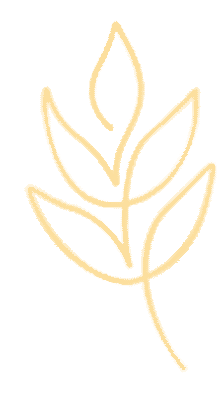 【综应】下周开课,事业单位综应A类真题课(19.9元) 第14张