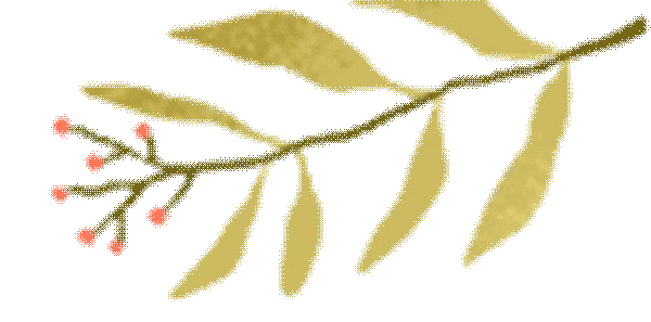 【综应】下周开课,事业单位综应A类真题课(19.9元) 第18张