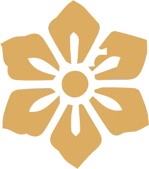 帝京日语赠书|《高考日语历年真题》大间隙版本 第54张