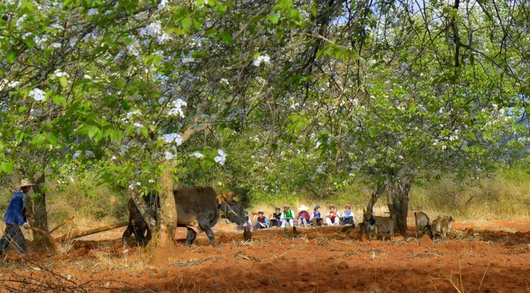 发试卷之后,“糟了,写错名字了”… 第31张