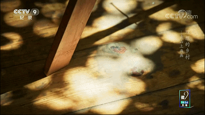 发试卷之后,“糟了,写错名字了”… 第45张