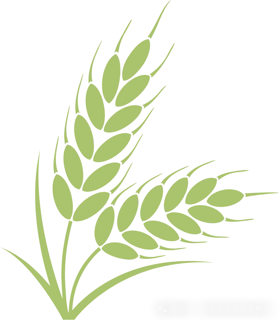 《公共营养师》能量与宏量营养素!三级模拟考试练习题学习! 第8张