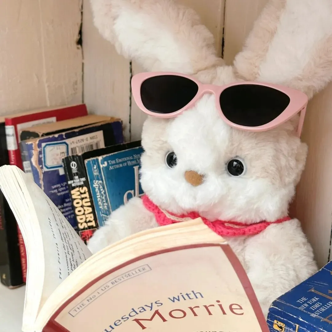 2008-2025年全国高考各科真题试卷及解析(可下载) 第2张