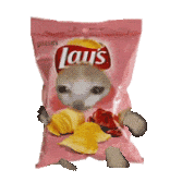 剑雅真题4-19全解析:从刷题到提分的正确打开方式 第23张