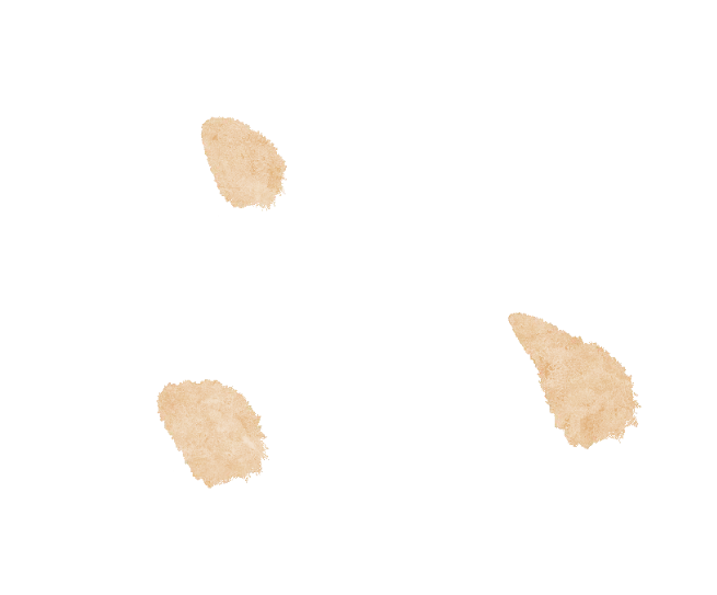 聚焦试卷解析 精研备考策略 —— 惠山区高三生物课堂教学研讨会顺利开展 第3张