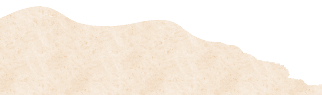 聚焦试卷解析 精研备考策略 —— 惠山区高三生物课堂教学研讨会顺利开展 第5张