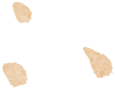 聚焦试卷解析 精研备考策略 —— 惠山区高三生物课堂教学研讨会顺利开展 第13张