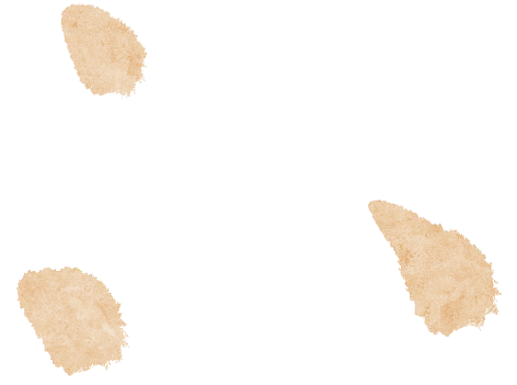 聚焦试卷解析 精研备考策略 —— 惠山区高三生物课堂教学研讨会顺利开展 第18张