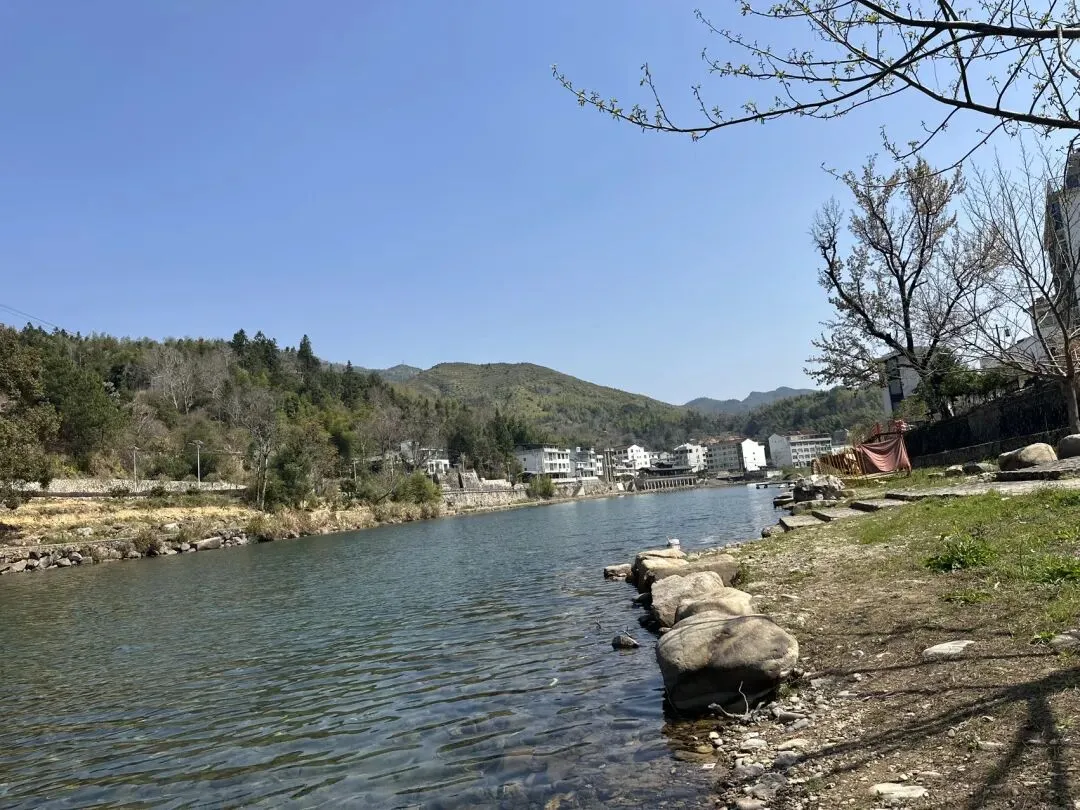 眺望与凝思,中考作文 第1张