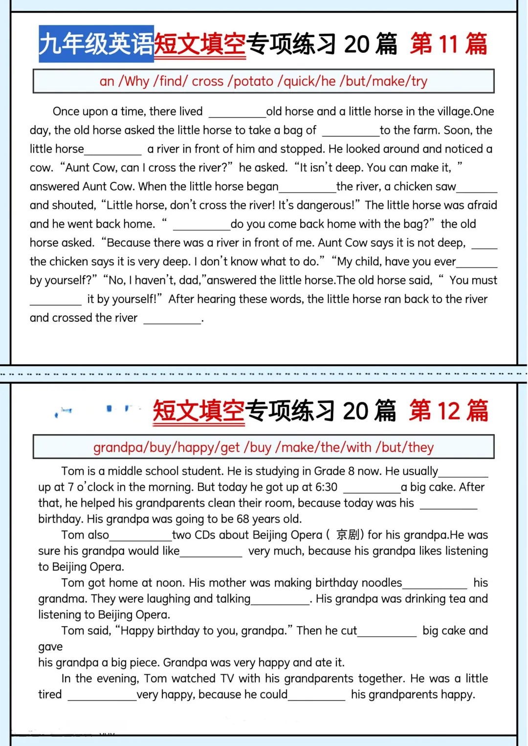 中考英语短文填空专项练习 第6张