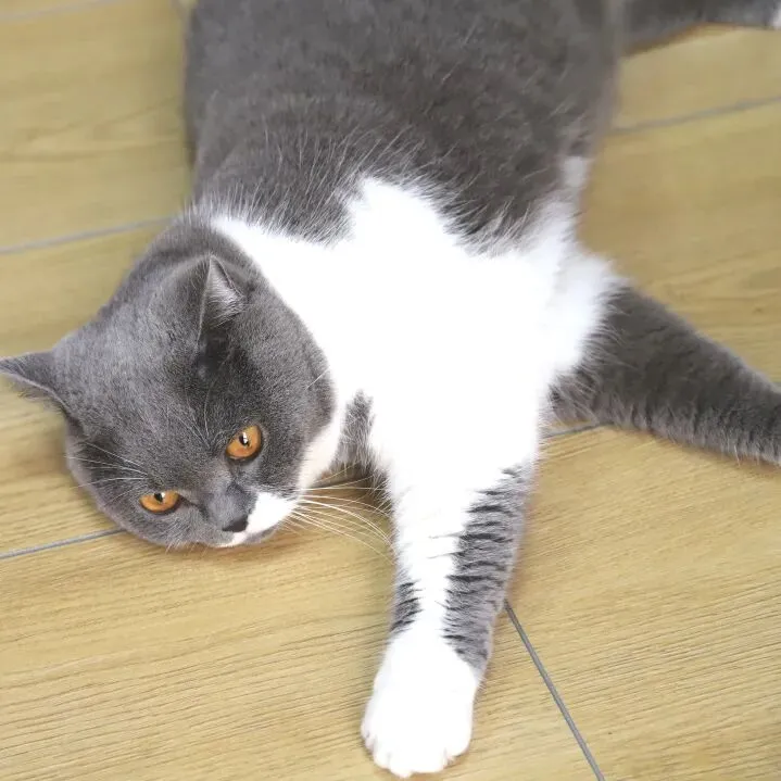 【图优优·真题解析】不容错过!2026年南开大学服装设计手绘超详细解析,为你点亮指路明灯,不容错过! 第67张