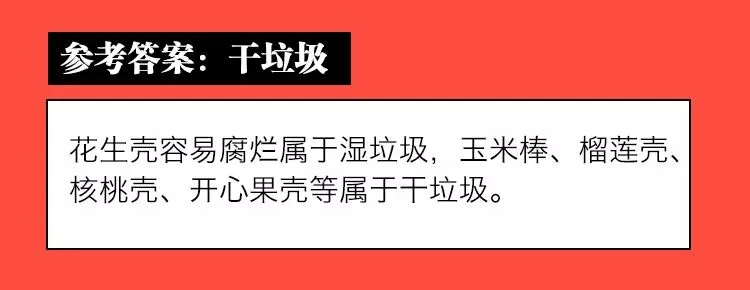 《垃圾分类模拟考试(上海卷)》 第29张