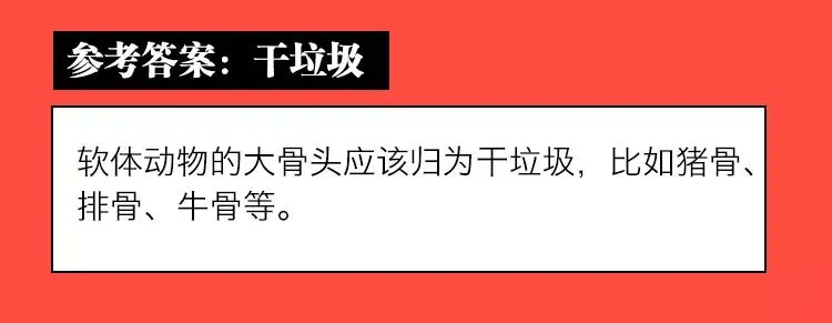 《垃圾分类模拟考试(上海卷)》 第33张