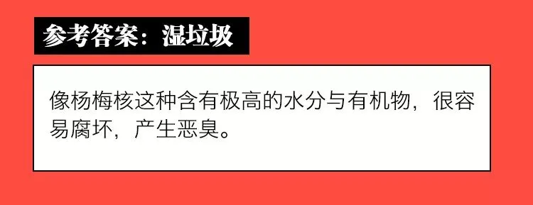 《垃圾分类模拟考试(上海卷)》 第35张