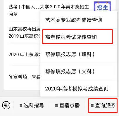 @全体考生,模拟考试成绩可以查询了!各类分数线均已公布!附模拟志愿填报完整说明 第7张