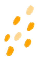 最强区一模|和平区高三英语真题(含听力+答案)今日开放 第6张