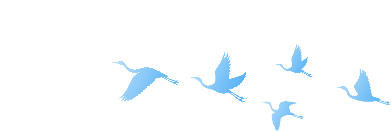 【中小幼】2026(上)教资笔试真题&答案!对答案啦! 第3张