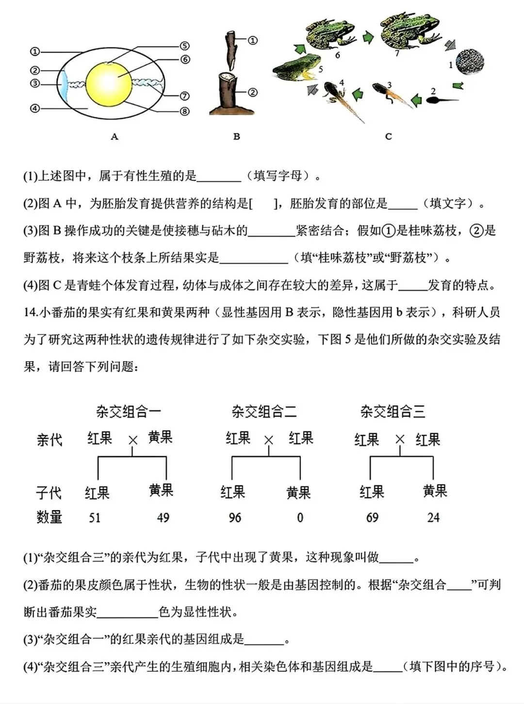 【试卷/初二下】2025-2026辽宁盘锦双台子区1中八下3月生物(含答案)可下载 第4张