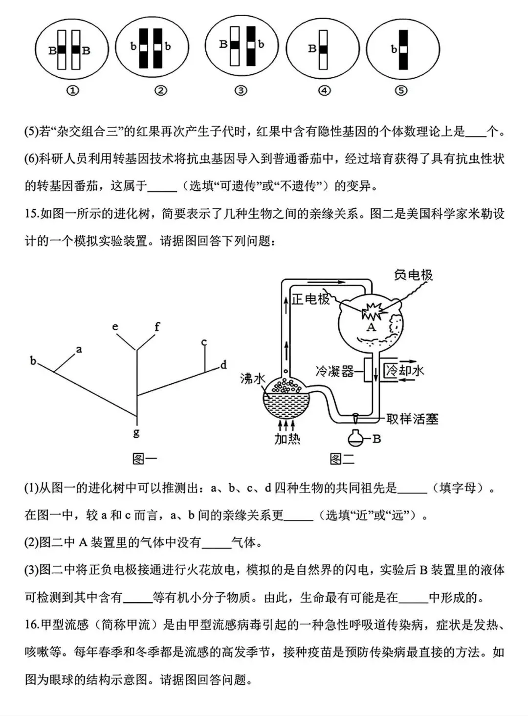 【试卷/初二下】2025-2026辽宁盘锦双台子区1中八下3月生物(含答案)可下载 第5张