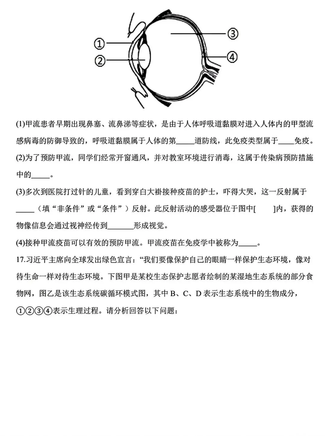 【试卷/初二下】2025-2026辽宁盘锦双台子区1中八下3月生物(含答案)可下载 第6张