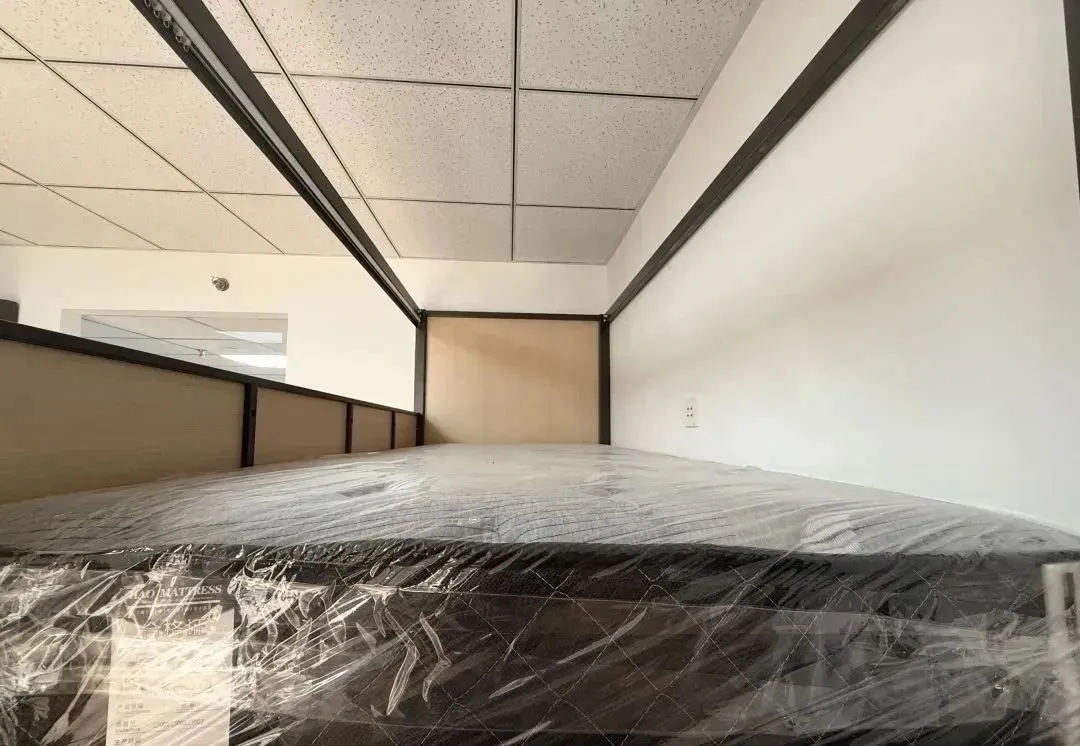 2026年3月10日海关真题题型分析及后续海关真题预测 第17张