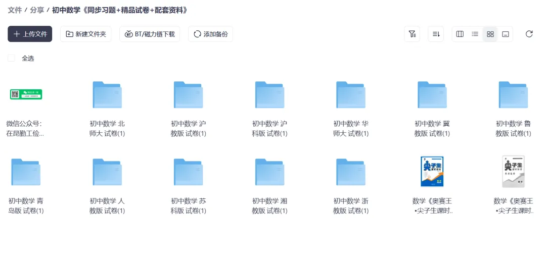 初中数学《同步习题+精品试卷+配套资料》 第1张